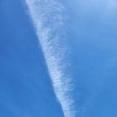 향남2 화합공원 인라인스케이트장 | D+1898 향남 화합공원에서 아이와 함께 행복한 주말 보내기(220828)