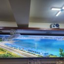 명태명가 이미지