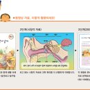 궁금증 해결 과학실험 이미지