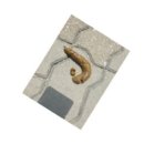 신길S동물의료센터 이미지