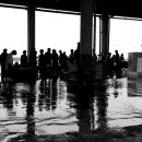 대진항(어판장) 이미지