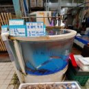 간성시장 이미지