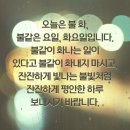(주)화요일