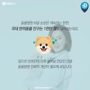 (주)서울동물병원 이미지
