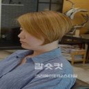 숏컷크리에이티브
