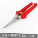 대건