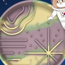 타임슬로우 이미지