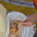 과일명당 | 프랑스 파리 자유여행 코스 추천 : 베르사유 궁전, 몽마르뜨 언덕 치안, 바토무슈 크루즈 명당 후기