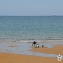 [태안] 태안해안국립공원으로 떠나는 낭만 캠핑여행 학암포 자동차야영장과 몽산포 자동차야영장 이미지