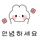 미뇽 캣 이미지