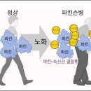 앱트