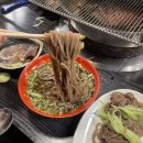 양산갈매기