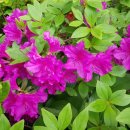 한성욱 행정사사무소 이미지