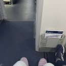 허니몽이 | 에어프레미아 ✈️ 샌프란시스코 직항 후기 | 비상구 좌석 구매, 기내식, 칵테일, 컵라면