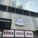 베스티멍 이미지