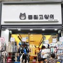 못된고양이 이미지