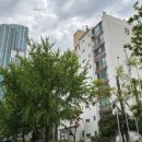 신아우성 이미지