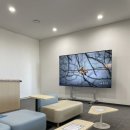 머메이드 | 부산 머메이드 다이빙 니나노다이브에서 PADI 머메이드 자격증 강습 후기