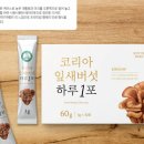 안성 서면농장 네이버블로그