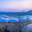 남노일로 이미지