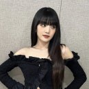도도헤어보그