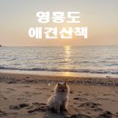 해질녘 티스토리