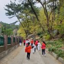 달북초등학교 이미지