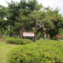 동춘당공원 이미지