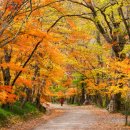 챗GPT 활용백서 이미지