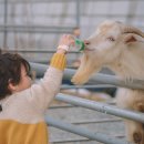 구자농장 이미지