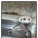 용암약국 이미지