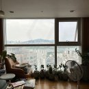 고양유리