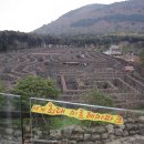 제주의 추억 이미지