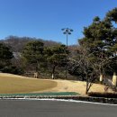 [세레니티cc]청주 골프장 세레니티cc 라운딩 후기🖤