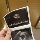 꽃과샘산부인과의원 이미지