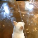 개편한세상 이미지