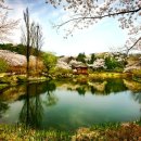 봄날 - 전주시 완산구 서학3길 44 | 봄날