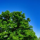 삼탄잔디구장 | [하준이네 가족-아이캠퍼 여행기]#44탄(210508~09)-캠크닉-충주 삼탄유원지+비내섬+조정경기장