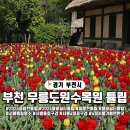 까치울역(7호선)(시비설치) | 부천 자연생태공원 무릉도원수목원, 부천 꽃구경 튤립 명소 부천 가볼만한곳