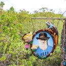 거북민박 | 남미 여행 갈라파고스 제도 산타크루즈섬 어시장 찰스 다윈 연구소