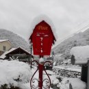 장태산자작나무펜션 이미지