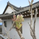 설악산민박 이미지