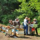 산삼골꿀벌영농조합법인 이미지