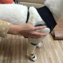 의수농장 이미지