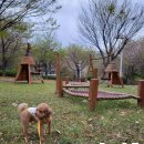 벨라 펫 살롱 이미지