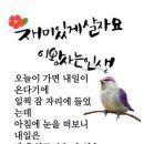 도삼지 Daum카페