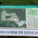금대에코힐링캠핑장 티스토리