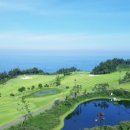 오션비치 이미지