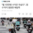 “월 1천만원 수익은 우습다”…‘꼼수’까지 동원한 배달족 이미지