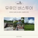 유유스팀 | [일본 여행] 유후인 버스투어 유유투어 후기-2 유노하나,지옥도 온천